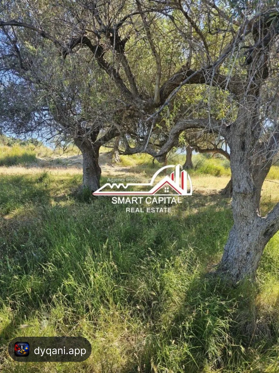 Tokë 3,000 m² në Shitje – Investim – 100€ – Vlorë – I mirë — Vlorë - Foto 1