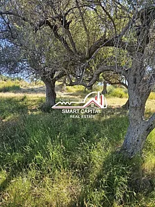 Tokë 3,000 m² në Shitje – Investim – 100€ – Vlorë – I mirë — Vlorë - Foto 1