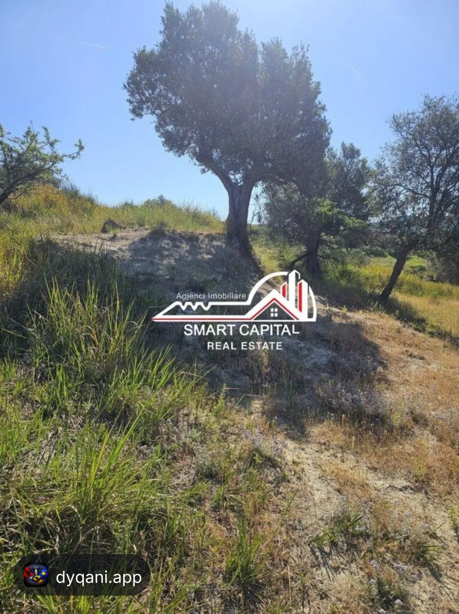 Tokë 3,000 m² në Shitje – Investim – 100€ – Vlorë – I mirë — Vlorë - Foto 4