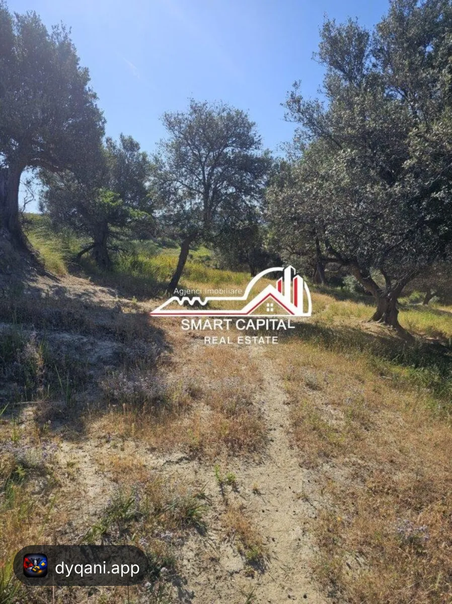 Tokë 3,000 m² në Shitje – Investim – 100€ – Vlorë – I mirë — Vlorë - Foto 6