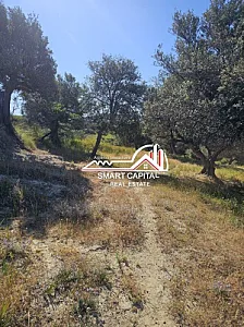 Tokë 3,000 m² në Shitje – Investim – 100€ – Vlorë – I mirë — Vlorë - Foto 6