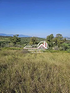 Tokë 3,000 m² në Shitje – Investim – 100€ – Vlorë – I mirë — Vlorë - Foto 7