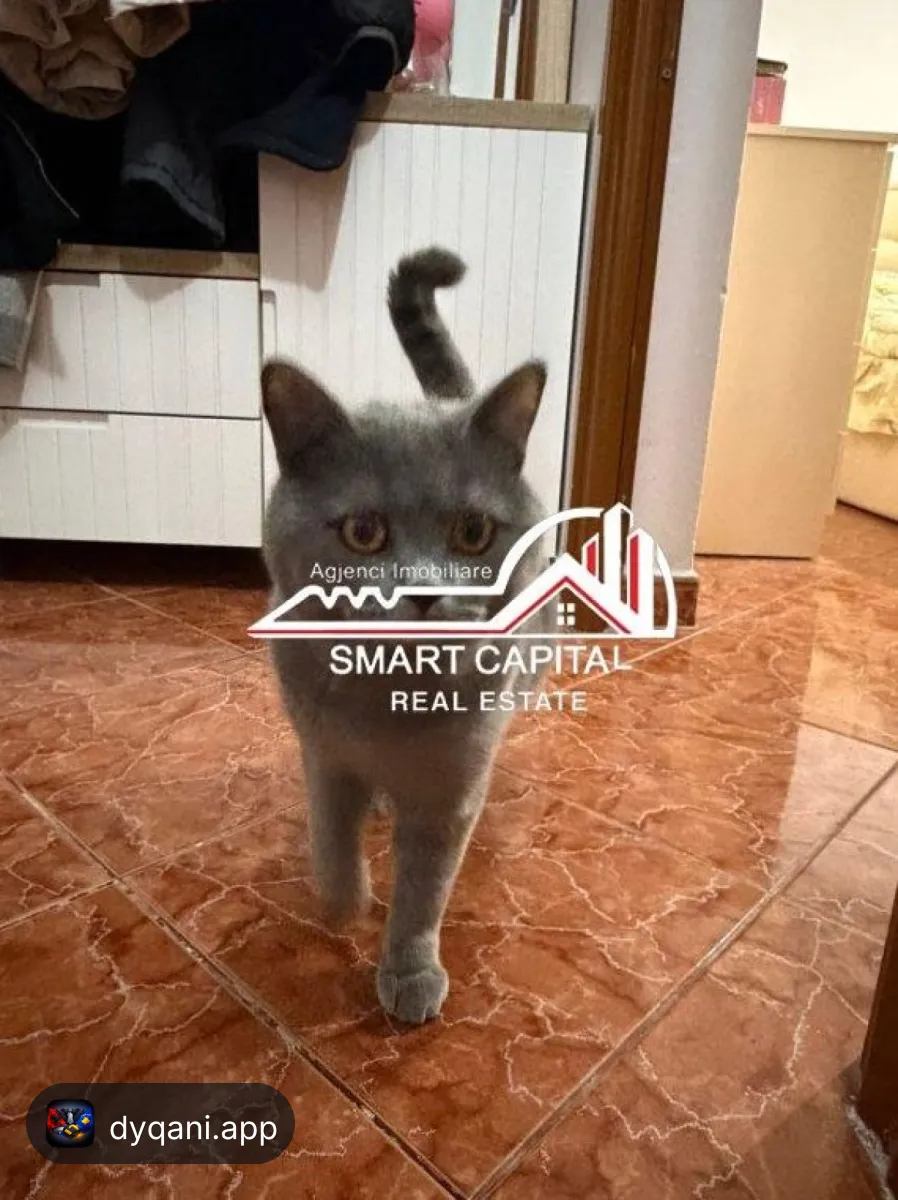 Apartament 2+1 në Shitje – Pranë – 84,000€ – Vlorë – I mirë — Vlorë - Foto 8