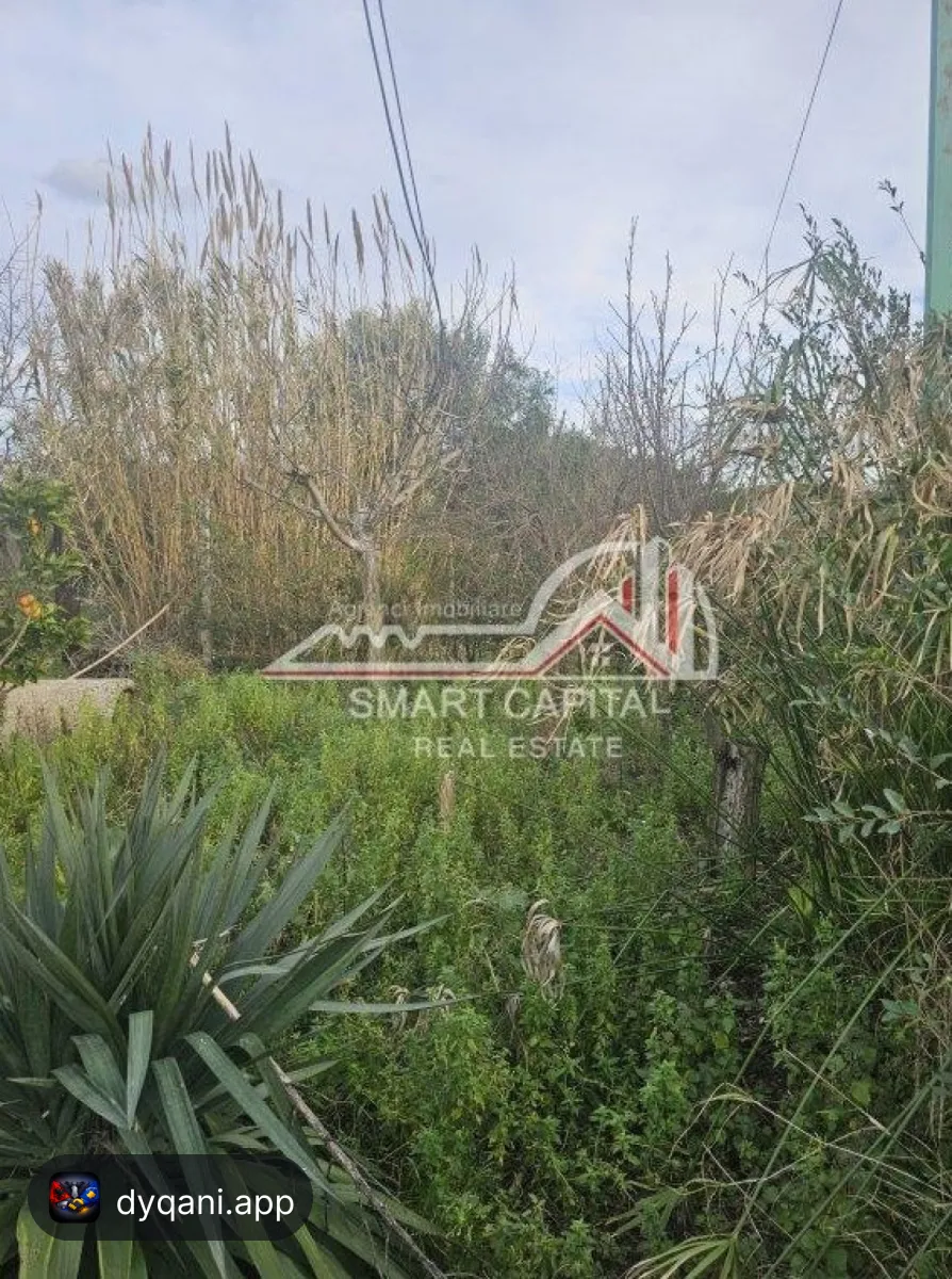 Shtëpi + Truall në Shitje – Panaja – 65,000 Lek – Vlorë — Vlorë - Foto 1
