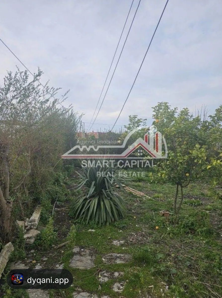 Shtëpi + Truall në Shitje – Panaja – 65,000 Lek – Vlorë — Vlorë - Foto 3