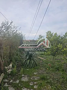 Shtëpi + Truall në Shitje – Panaja – 65,000 Lek – Vlorë — Vlorë - Foto 3