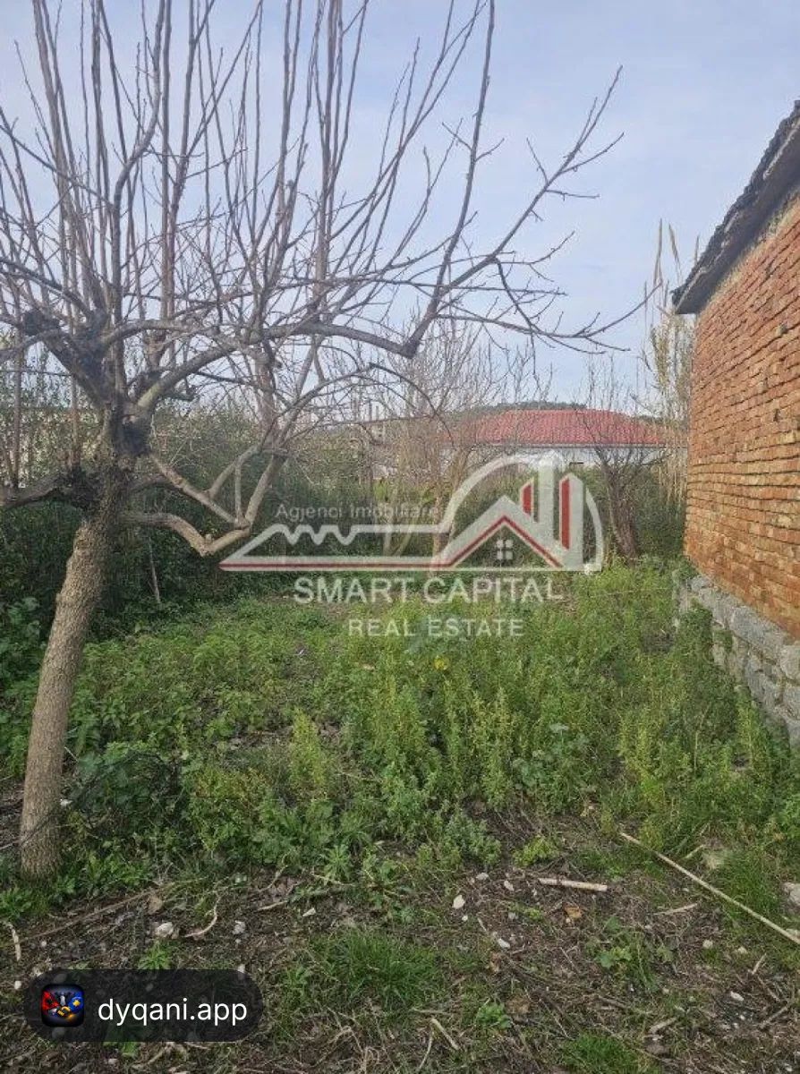 Shtëpi + Truall në Shitje – Panaja – 65,000 Lek – Vlorë — Vlorë - Foto 5