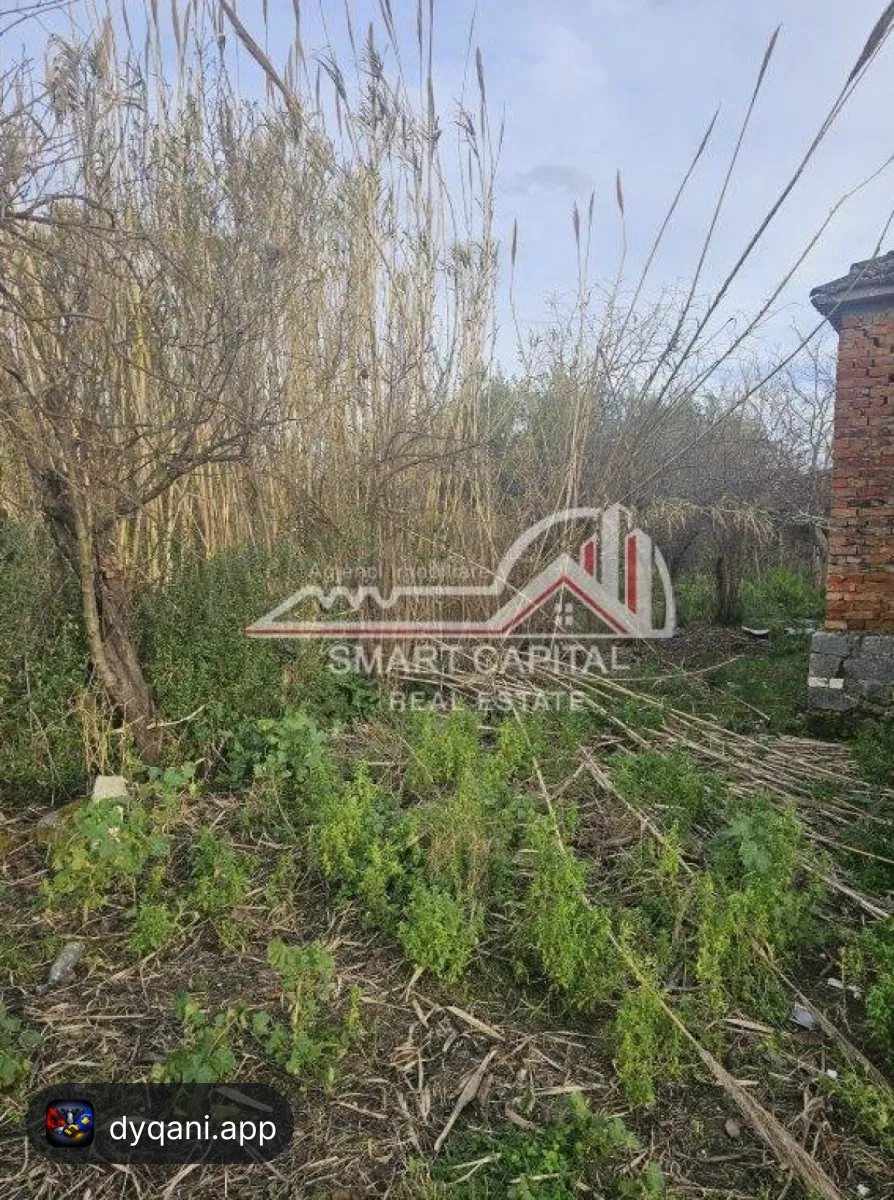 Shtëpi + Truall në Shitje – Panaja – 65,000 Lek – Vlorë — Vlorë - Foto 6