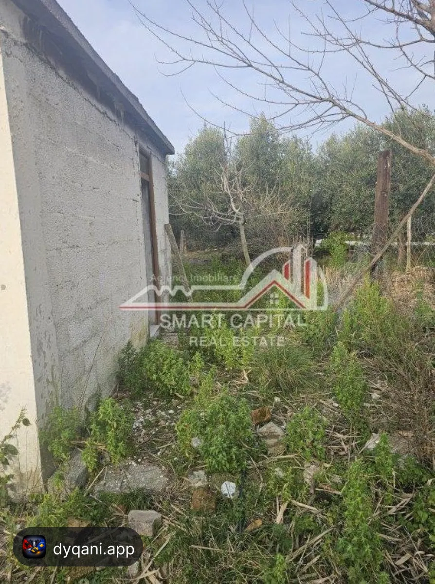 Shtëpi + Truall në Shitje – Panaja – 65,000 Lek – Vlorë — Vlorë - Foto 8