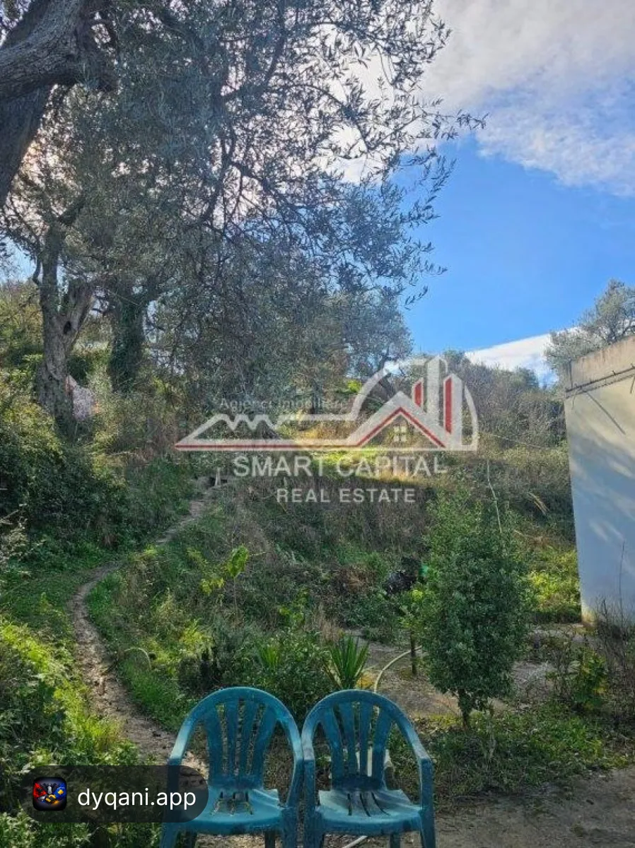 Truall 600 m² + 2 Shtëpi në Shitje – 182,000€ – Vlorë — Vlorë - Foto 3