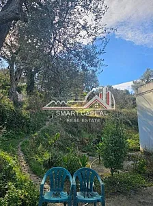 Truall 600 m² + 2 Shtëpi në Shitje – 182,000€ – Vlorë — Vlorë - Foto 3