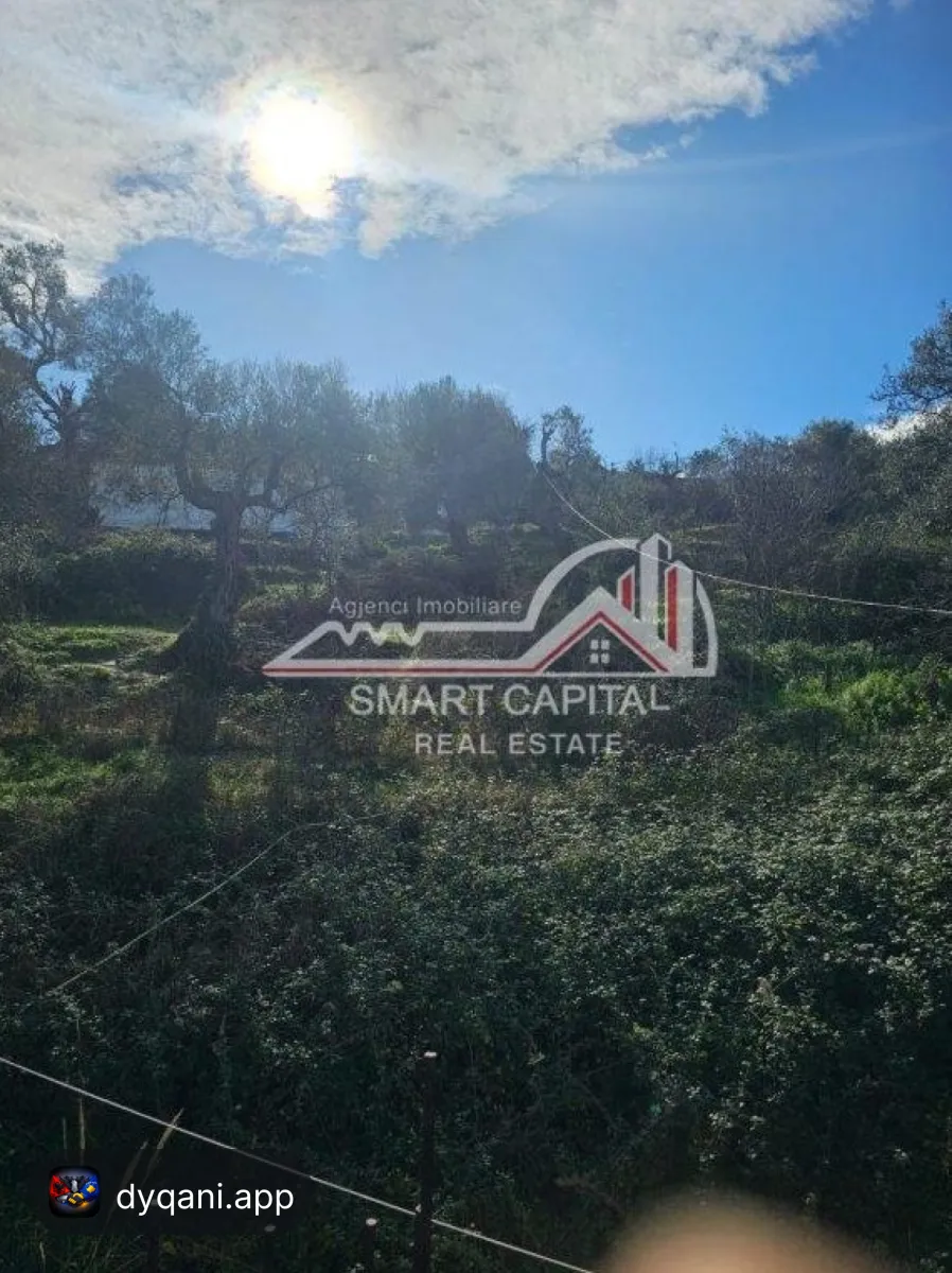 Truall 600 m² + 2 Shtëpi në Shitje – 182,000€ – Vlorë — Vlorë - Foto 6