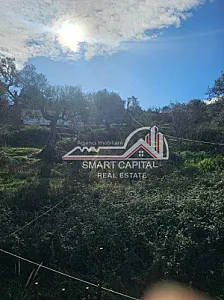 Truall 600 m² + 2 Shtëpi në Shitje – 182,000€ – Vlorë — Vlorë - Foto 6