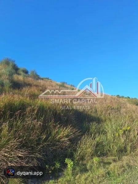 Tokë 7780m² në Shitje – Vijë e Dytë Radhimë – Vlorë – I mirë — Vlorë