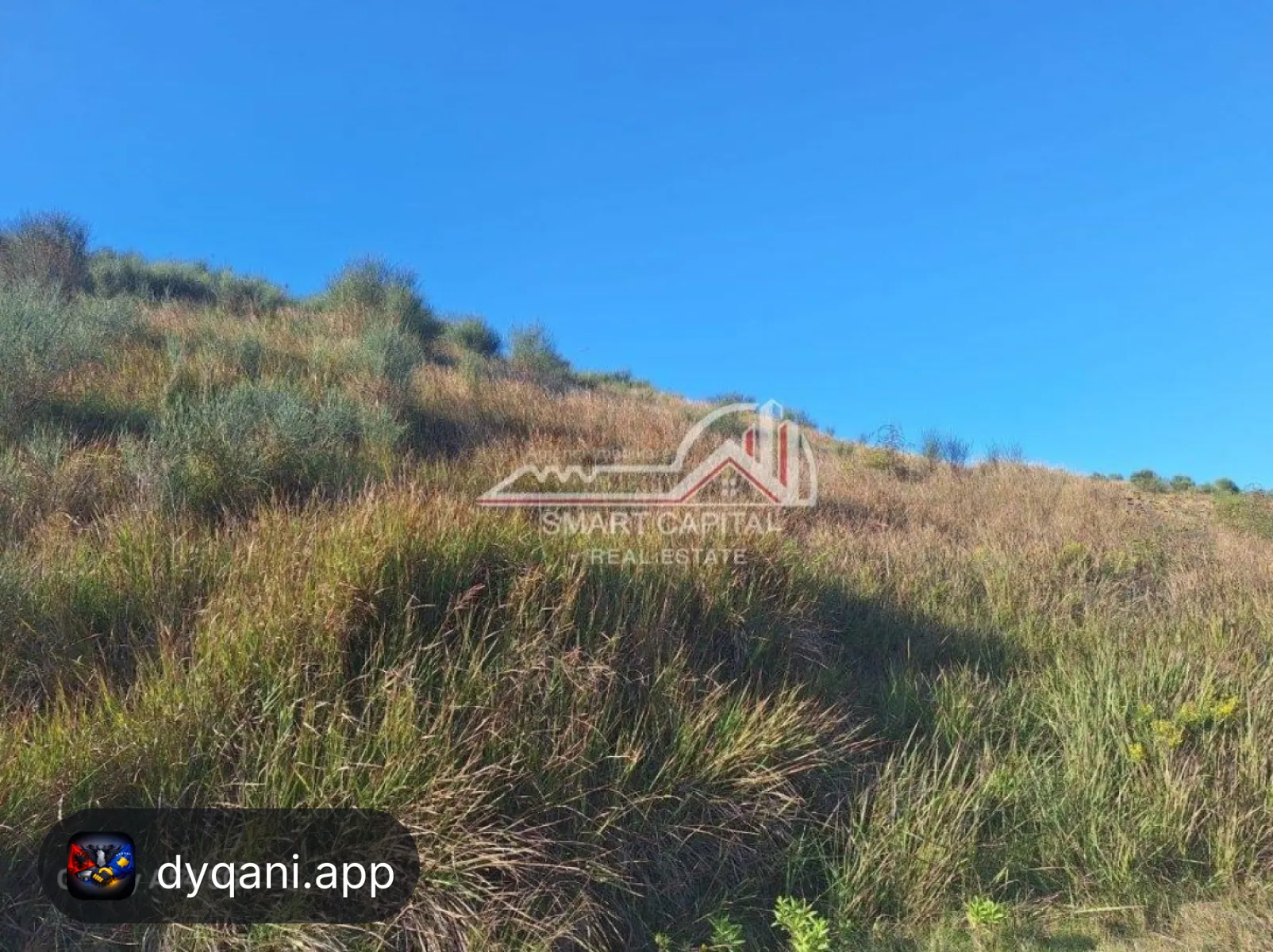 Tokë 7780m² në Shitje – Vijë e Dytë Radhimë – Vlorë – I mirë — Vlorë - Foto 2