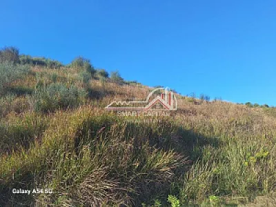 Tokë 7780m² në Shitje – Vijë e Dytë Radhimë – Vlorë – I mirë — Vlorë - Foto 2