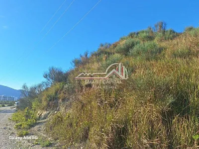 Tokë 7780m² në Shitje – Vijë e Dytë Radhimë – Vlorë – I mirë — Vlorë - Foto 6