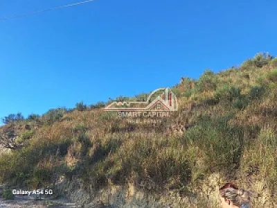 Tokë 7780m² në Shitje – Vijë e Dytë Radhimë – Vlorë – I mirë — Vlorë - Foto 8