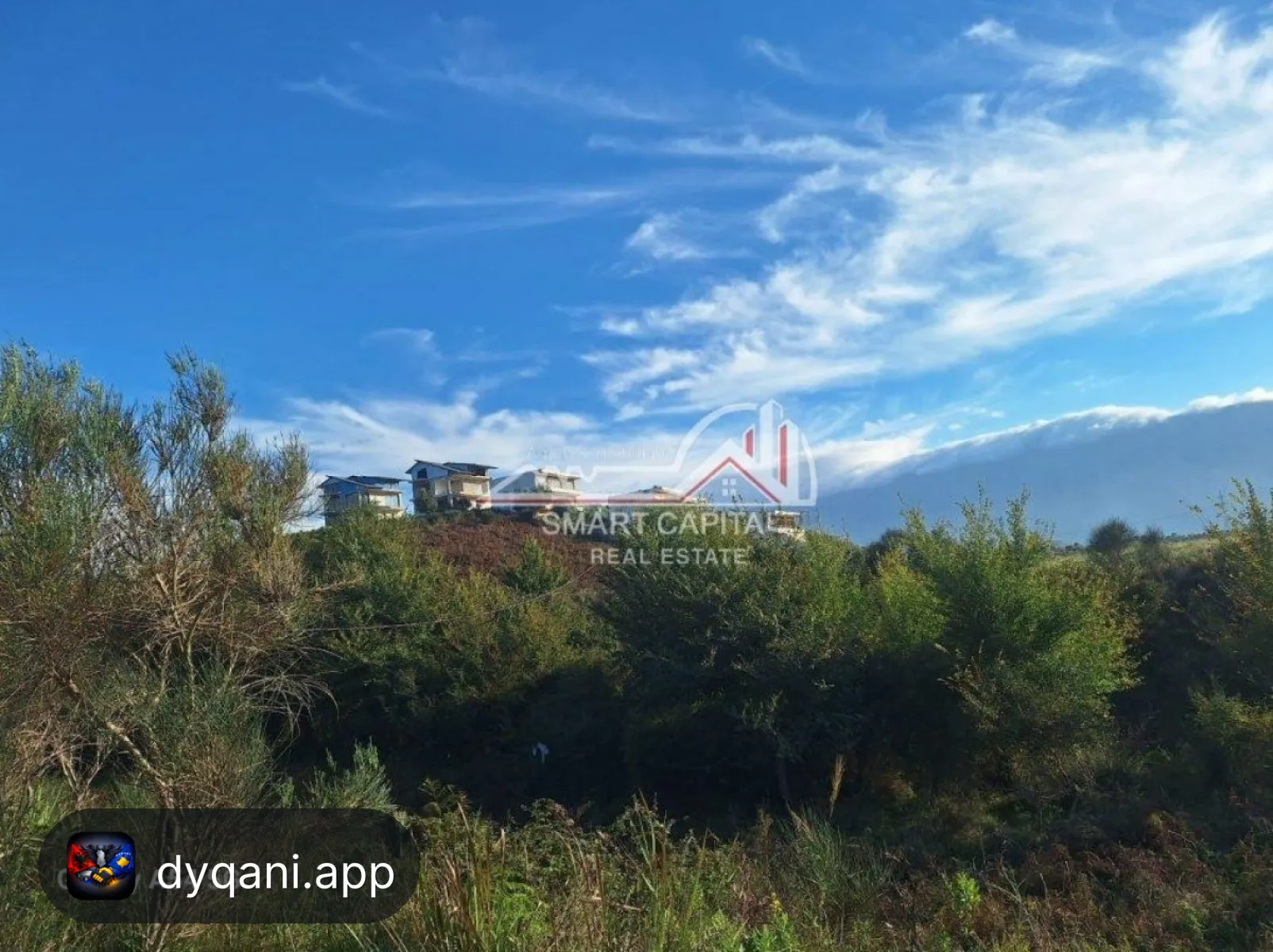 Tokë 7780m² në Shitje – Vijë e Dytë Radhimë – Vlorë – I mirë — Vlorë - Foto 9
