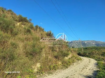 Tokë 7,780 m² në Shitje – Vijë e Dytë Radhimë – Vlorë — Vlorë - Foto 4