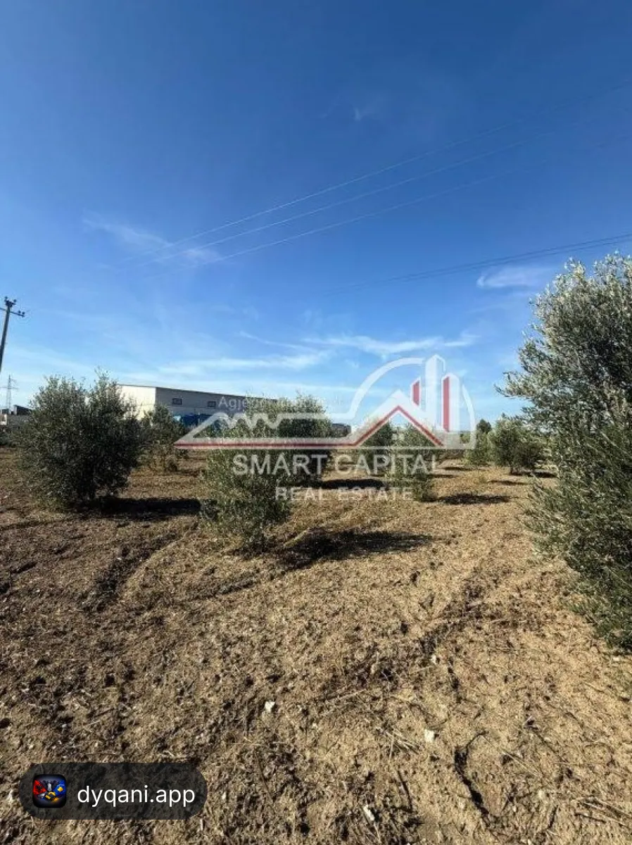 Tokë 2,400 m² në Shitje – Vijë – 3,000 Lek – Vlorë – I mirë — Vlorë - Foto 1