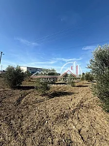 Tokë 2,400 m² në Shitje – Vijë – 3,000 Lek – Vlorë – I mirë — Vlorë - Foto 1
