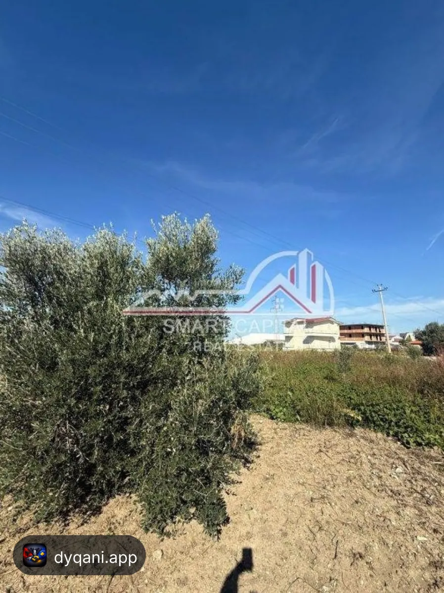 Tokë 2,400 m² në Shitje – Vijë – 3,000 Lek – Vlorë – I mirë — Vlorë - Foto 2