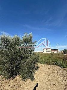 Tokë 2,400 m² në Shitje – Vijë – 3,000 Lek – Vlorë – I mirë — Vlorë - Foto 2
