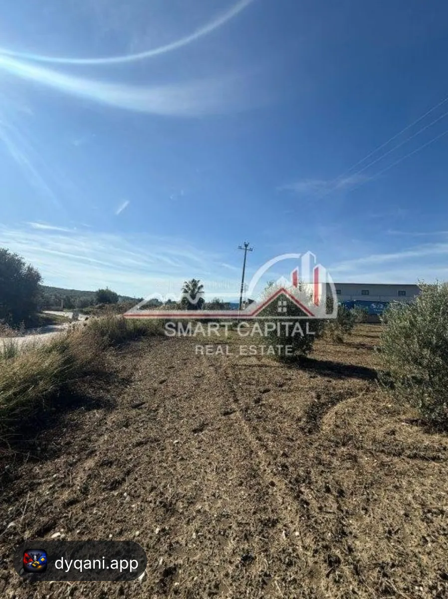 Tokë 2,400 m² në Shitje – Vijë – 3,000 Lek – Vlorë – I mirë — Vlorë - Foto 3