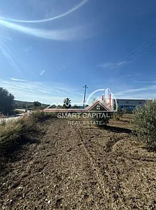 Tokë 2,400 m² në Shitje – Vijë – 3,000 Lek – Vlorë – I mirë — Vlorë - Foto 3