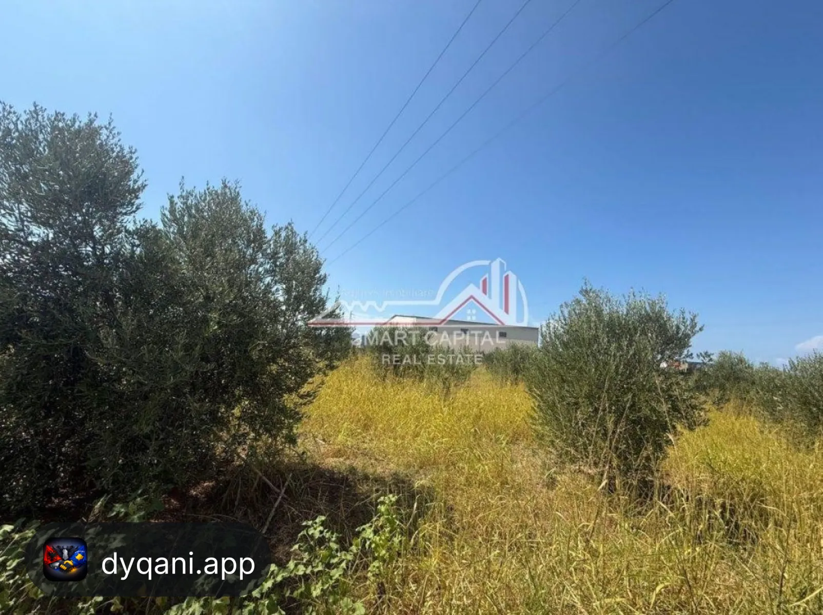 Tokë Industriale në Shitje – Cerkovinë, Vlorë – 30€ – I mirë — Vlorë - Foto 2