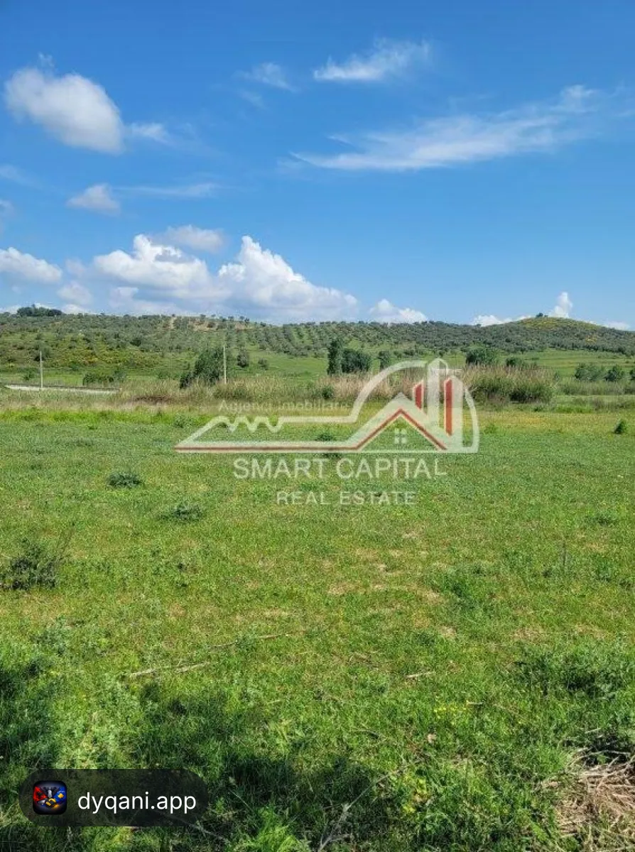 Tokë 4900 m² Për Shitje – Rruga – 85,000€ – Vlorë – I mirë — Vlorë - Foto 4