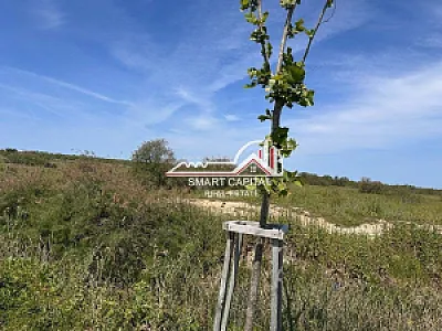 Tokë 5,000 m² në Shitje – Pranë Aeroportit të Vlorës — Vlorë - Foto 3