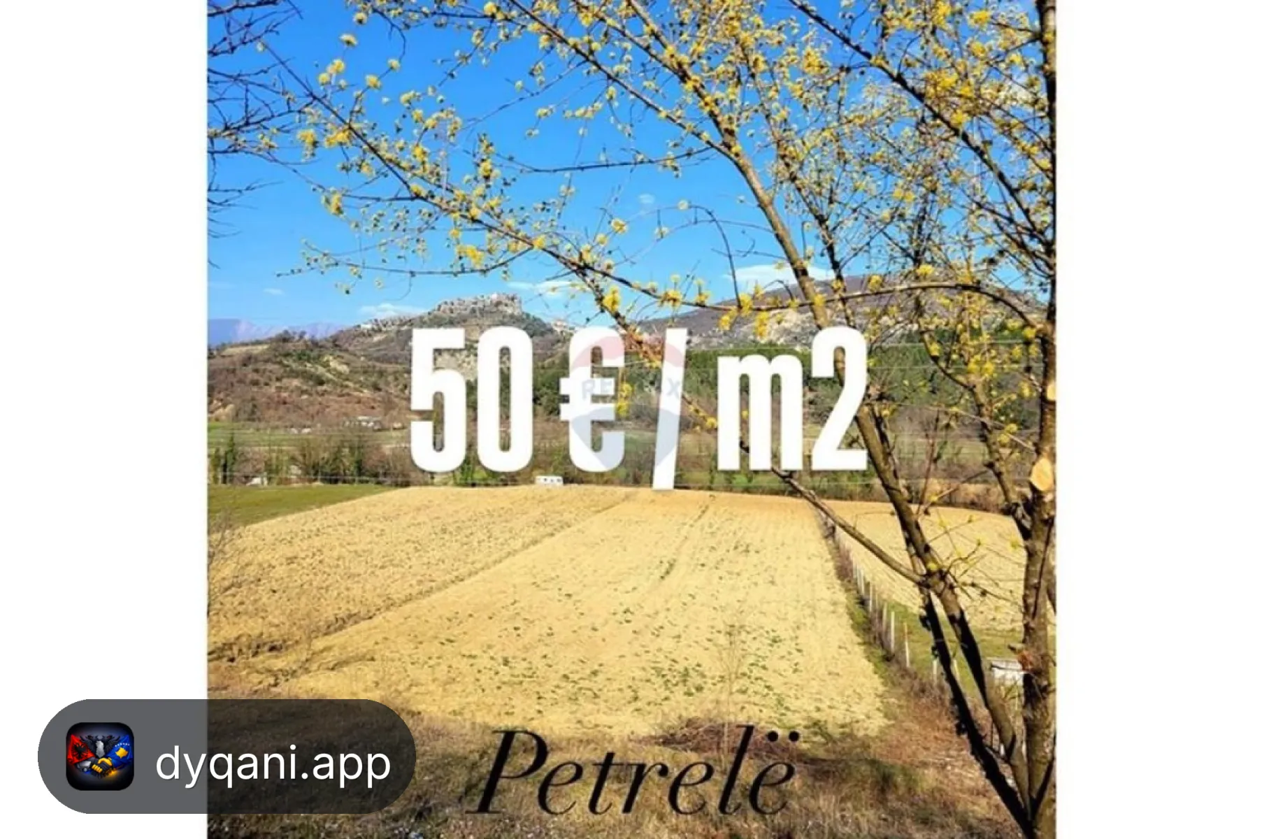 Shitet Tokë, 4000m² – Petrelë – 50€ – Tiranë – I mirë — Tiranë - Foto 1