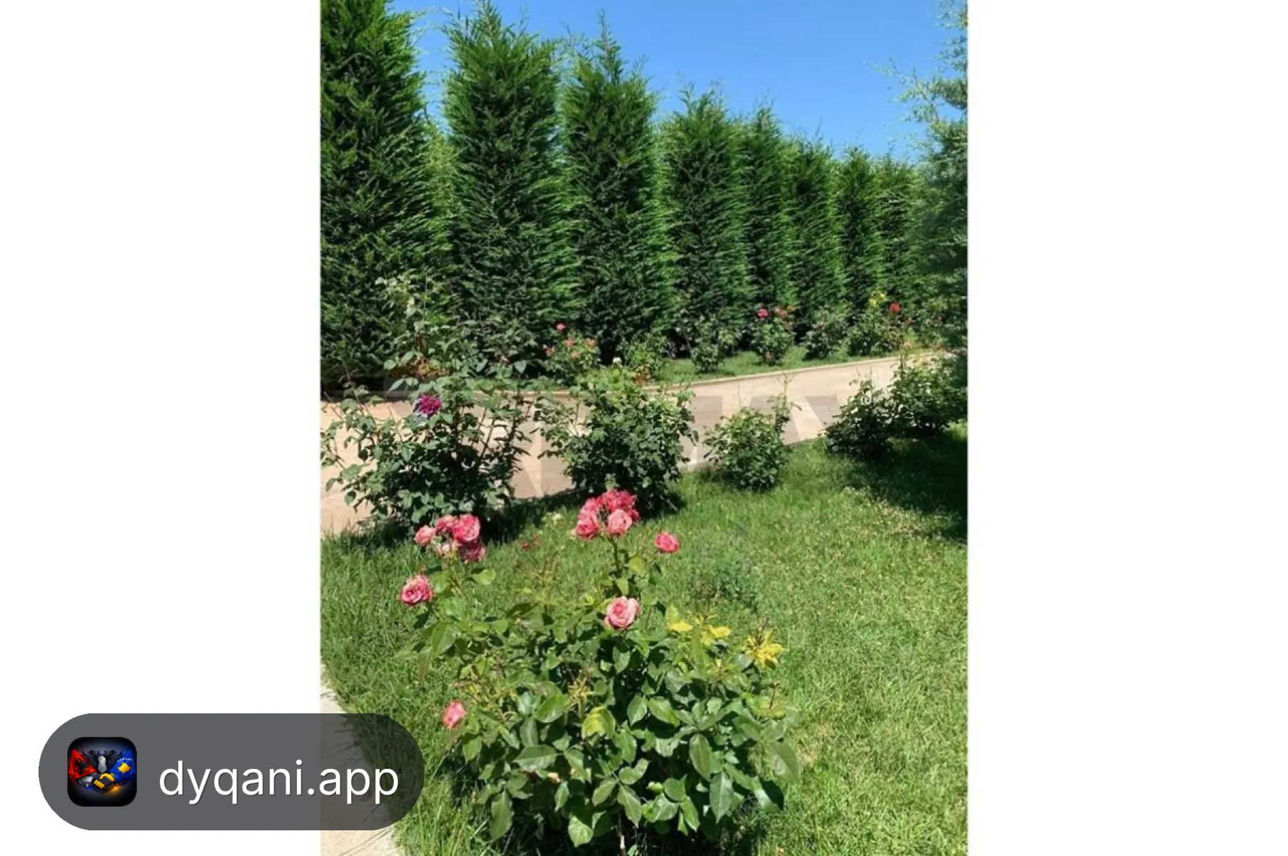 Shitet Vilë 4+1, 1100m² – 300,000€ – Pogradec – I mirë — Pogradec - Foto 1