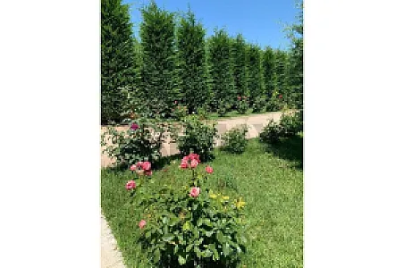 Shitet Vilë 4+1, 1100m² – 300,000€ – Pogradec – I mirë — Pogradec - Foto 1