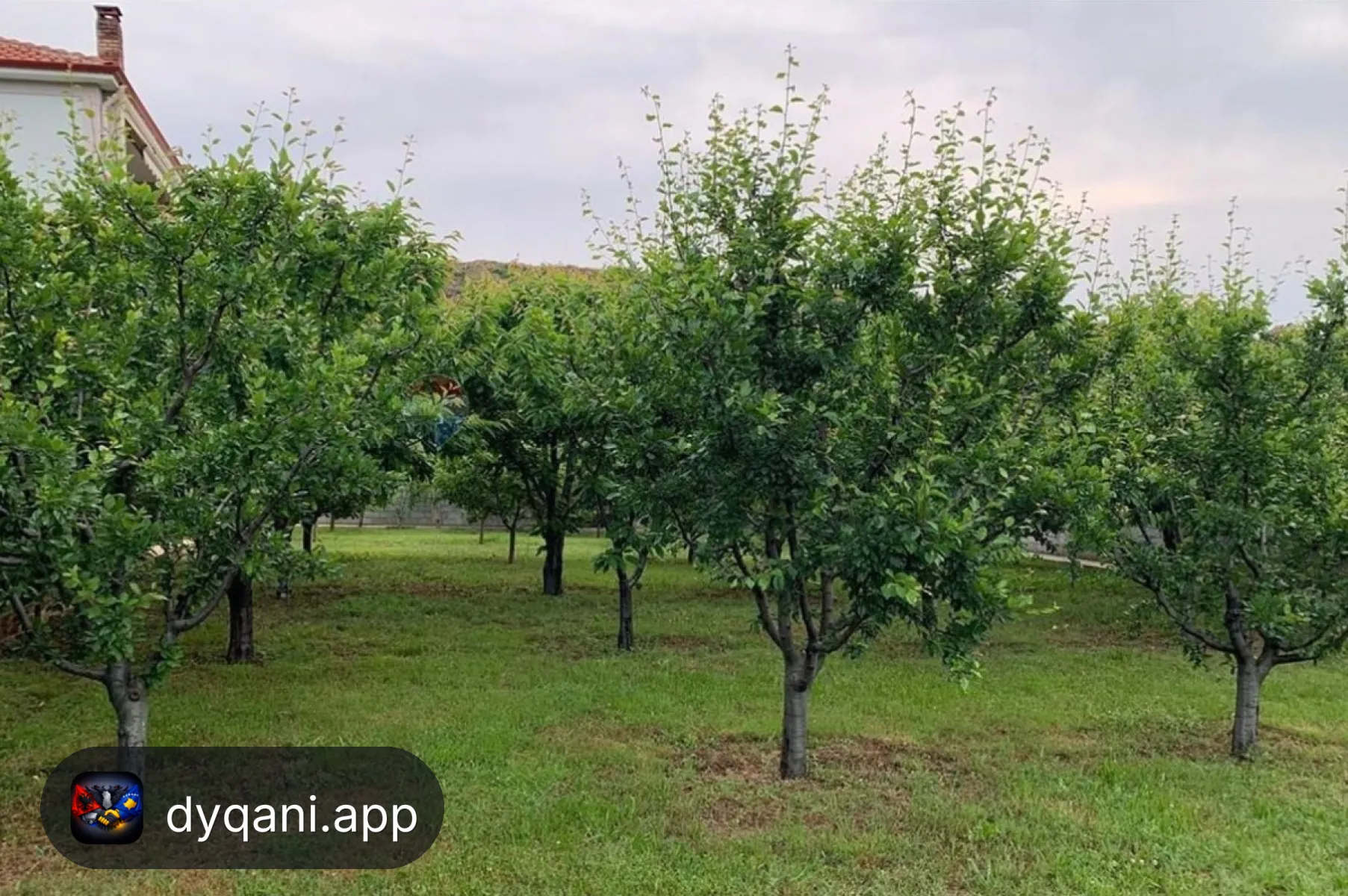 Shitet Vilë 4+1, 1100m² – 300,000€ – Pogradec – I mirë — Pogradec - Foto 4