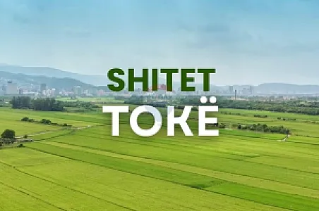 Shitet Tokë, 2499m² – Vorë – 6,500 Lek – Tiranë – I mirë — Tiranë - Foto 2