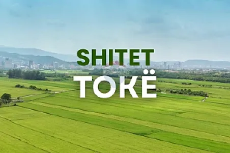 Shitet Tokë, 2499m² – Vorë – 6,500 Lek – Tiranë – I mirë — Tiranë - Foto 3