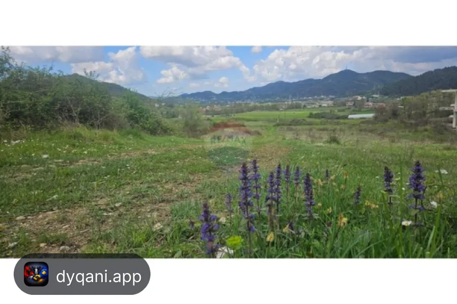Shitet Tokë, 2000m² – Petrelë – 50€ – Tiranë – I mirë — Tiranë