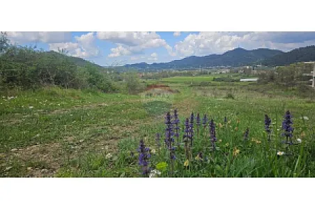 Shitet Tokë, 2000m² – Petrelë – 50€ – Tiranë – I mirë — Tiranë - Foto 1