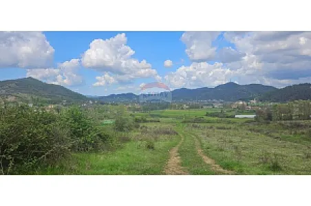 Shitet Tokë, 2000m² – Petrelë – 50€ – Tiranë – I mirë — Tiranë - Foto 2