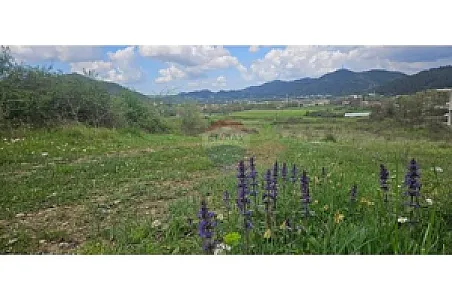 Shitet Tokë, 2000m² – Petrelë – 50€ – Tiranë – I mirë — Tiranë - Foto 3