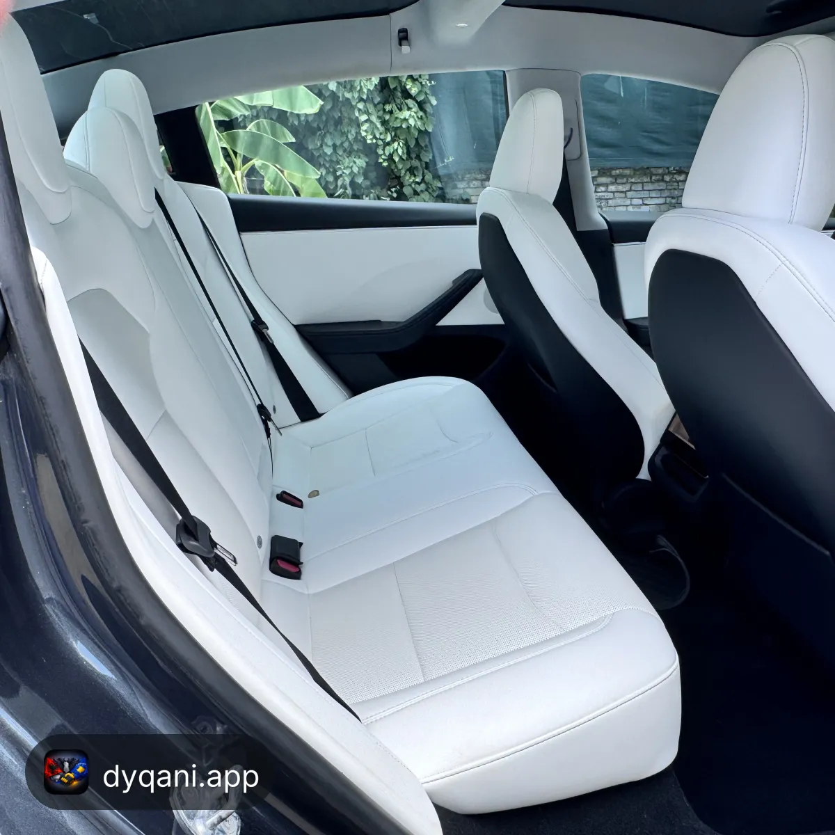 Tesla club albania2026reigers – Tiranë – I shkëlqyer — Tiranë - Foto 4