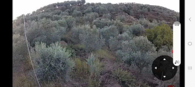 Shitet Ullishte 10 000 m² – 3.5M Lek – Patos – I mirë — Patos - Foto 2