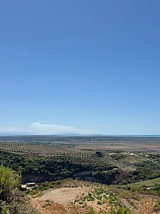 Shitet tokë 20.300 m² në Spille, pamje – 50€ – Durrës – I ri — Durrës - Foto 3