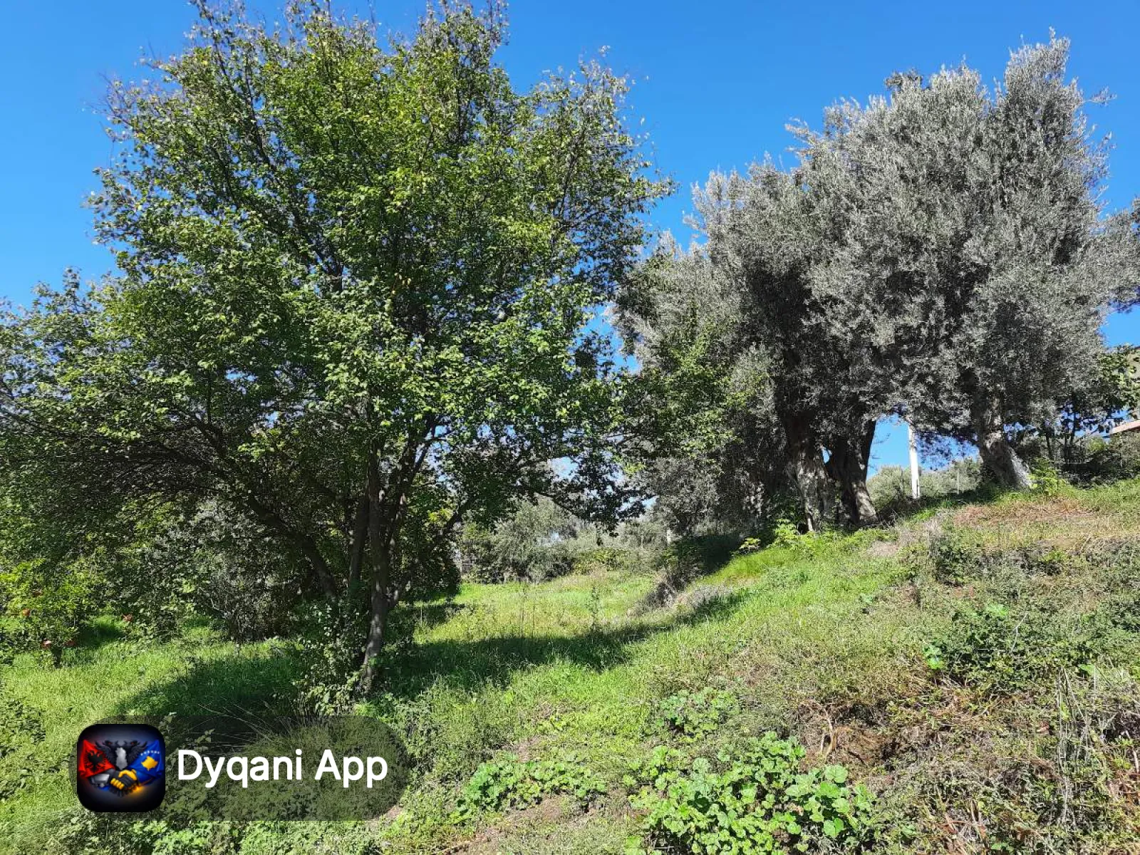 Shitet tokë 2000 m2 në periferi të Tiranës – 200,000€ — Tiranë - Foto 1
