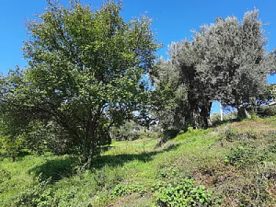 Shitet tokë 2000 m2 në periferi të Tiranës – 200,000€ — Tiranë - Foto 1