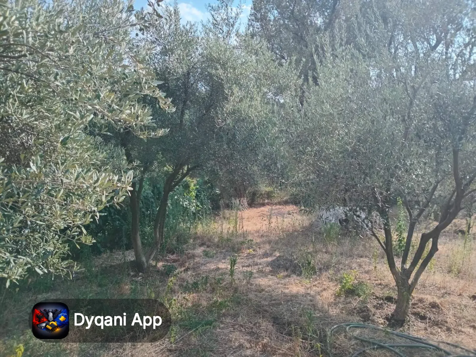 Shitet tokë 2000 m2 në periferi të Tiranës – 200,000€ — Tiranë - Foto 3