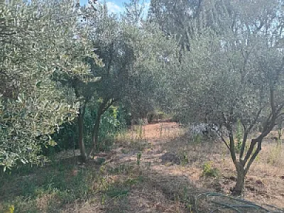 Shitet tokë 2000 m2 në periferi të Tiranës – 200,000€ — Tiranë - Foto 3